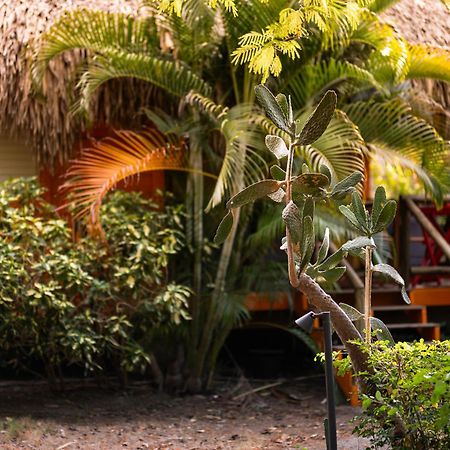 Mondi Lodge Dorp Dorp Sint Michiel 외부 사진