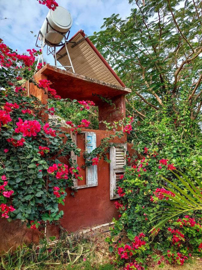 Mondi Lodge Dorp Dorp Sint Michiel 외부 사진