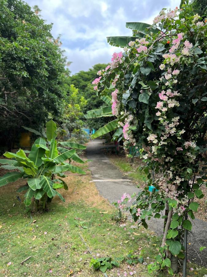 Mondi Lodge Dorp Dorp Sint Michiel 외부 사진