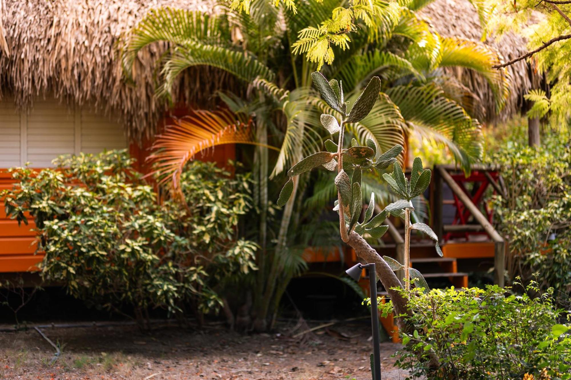 Mondi Lodge Dorp Dorp Sint Michiel 외부 사진